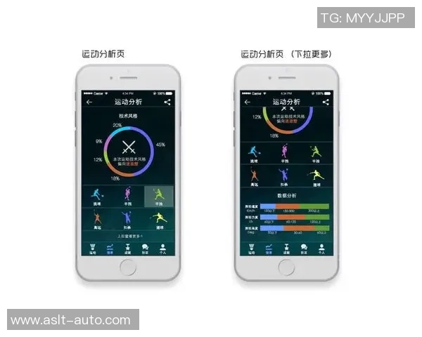 北京羽毛球队总决赛技术分析与表现评估探讨